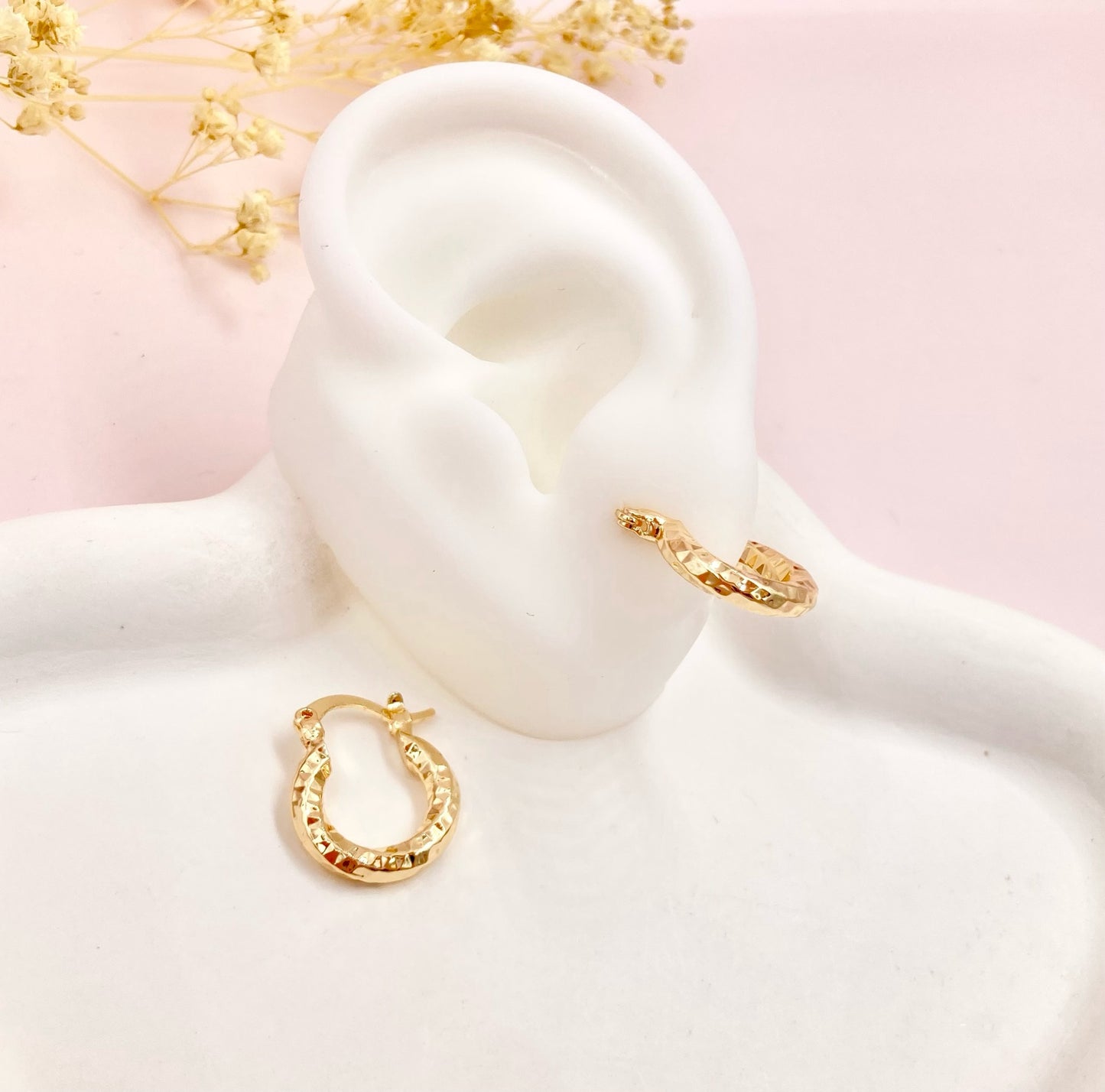 RA5191 - CANDONGA EN RODIO