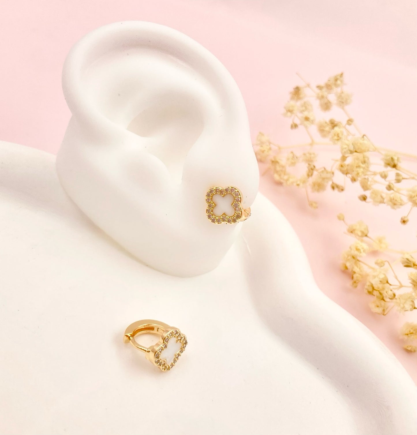 RA4885 - CANDONGA RODIO