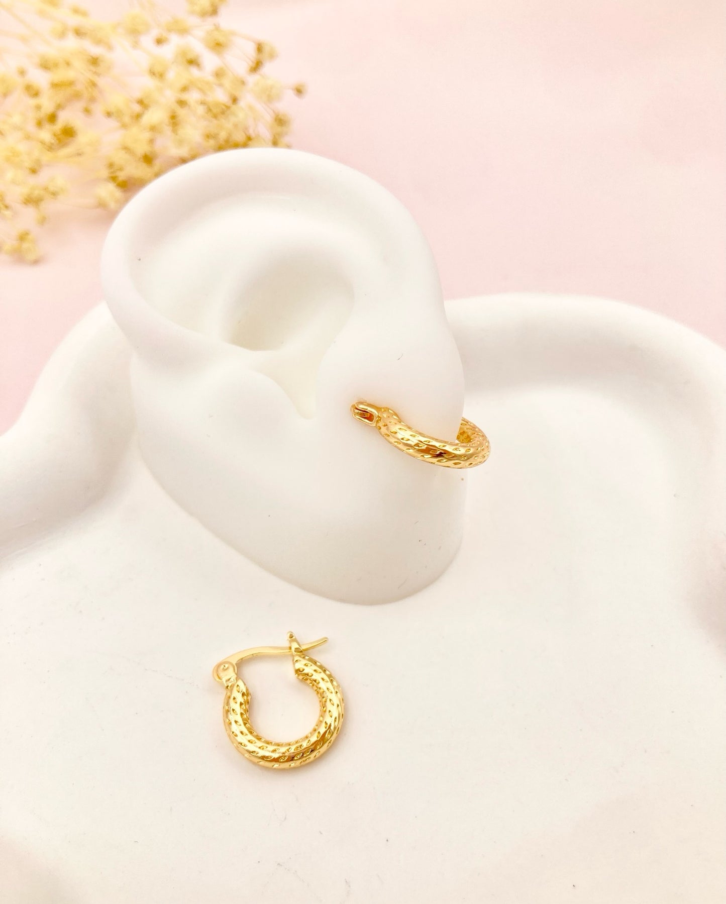 RA5094 - CANDONGA EN RODIO