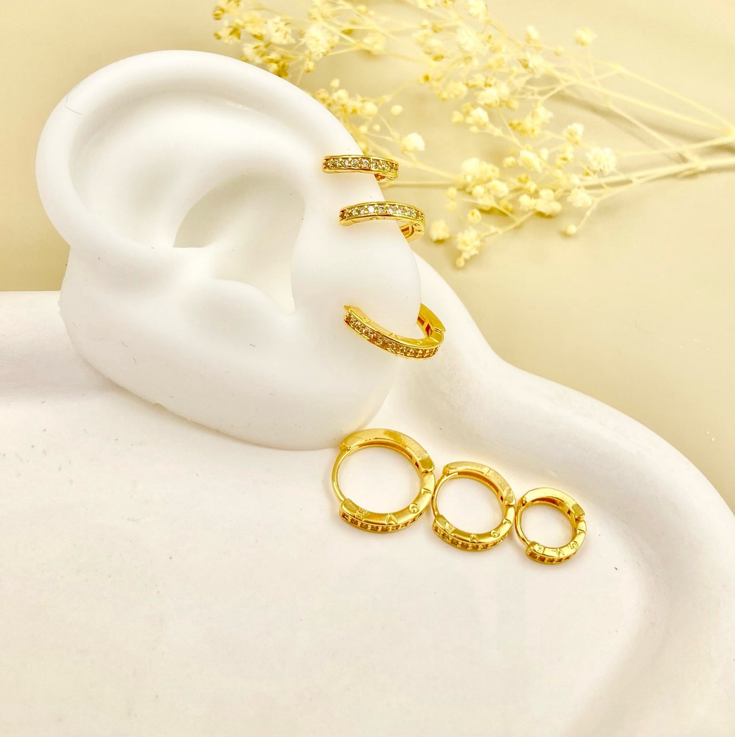 RA4982 - SECUENCIA CANDONGA EN RODIO