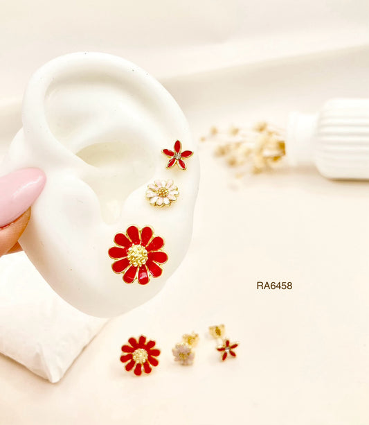 RA6458 - SECUENCIA FLORES ROJAS RODIO