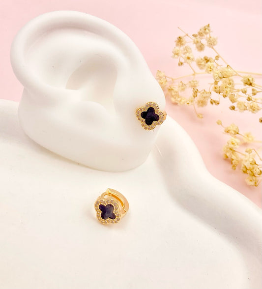 RA4884 - CANDONGA RODIO