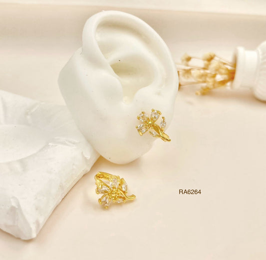 RA6264 - ARETES RODIO