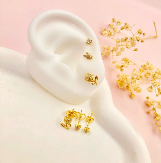 RA4873 - SECUENCIA RODIO