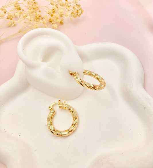 RA5110 - CANDONGA EN RODIO