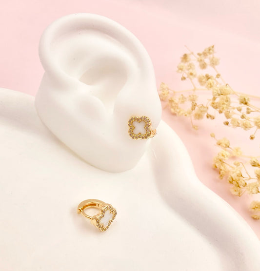 RA4885 - CANDONGA RODIO