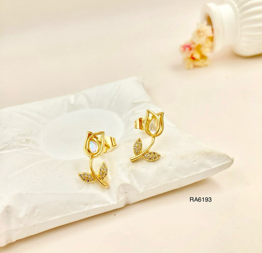 RA6193 - ARETES RODIO