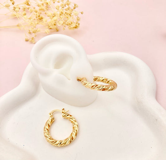 RA5109 - CANDONGA EN RODIO