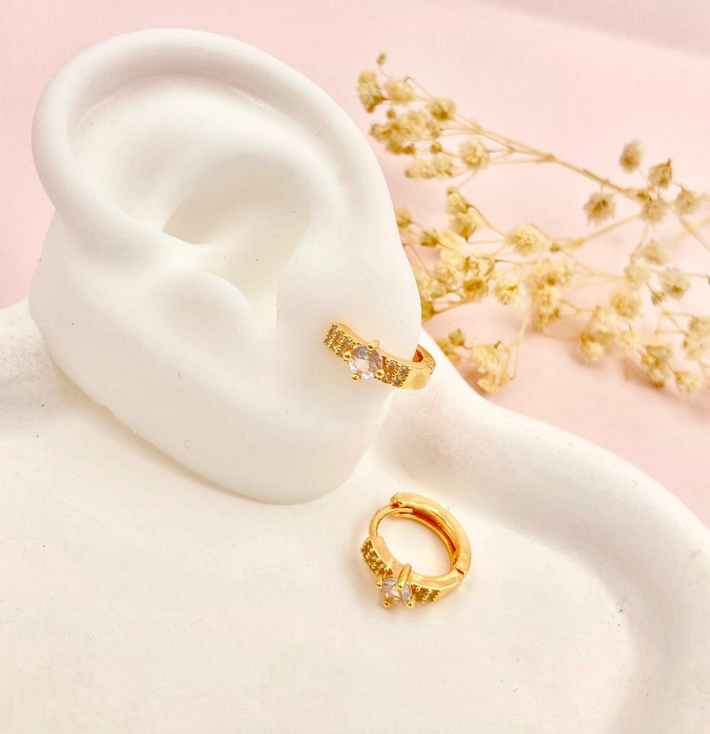 RA4896 - CANDONGA RODIO