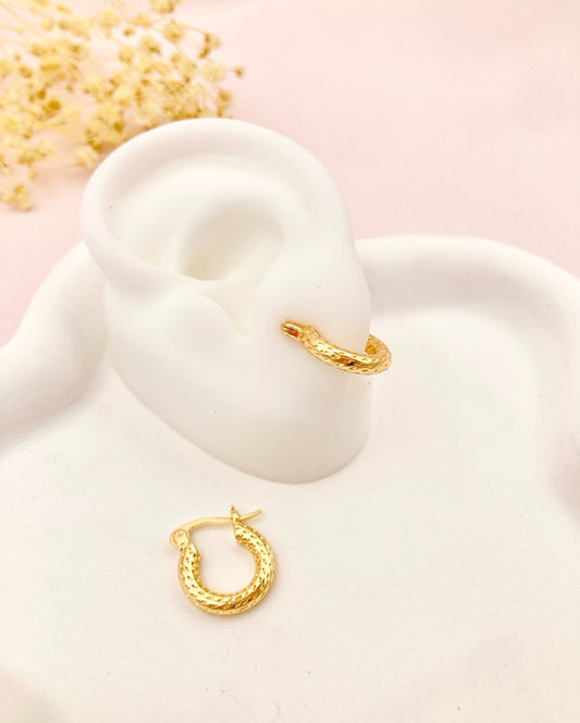 RA5094 - CANDONGA EN RODIO