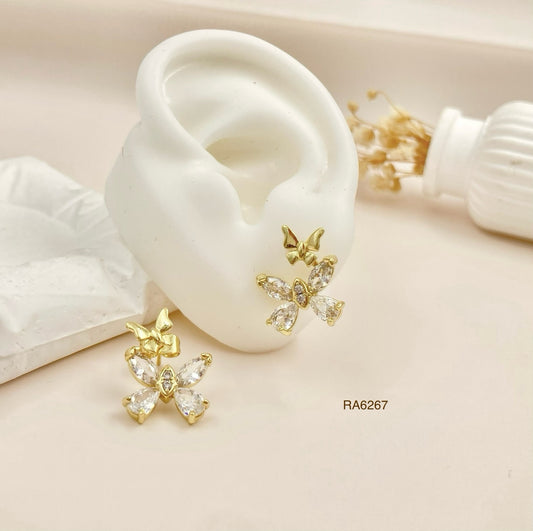 RA6267 - ARETES RODIO