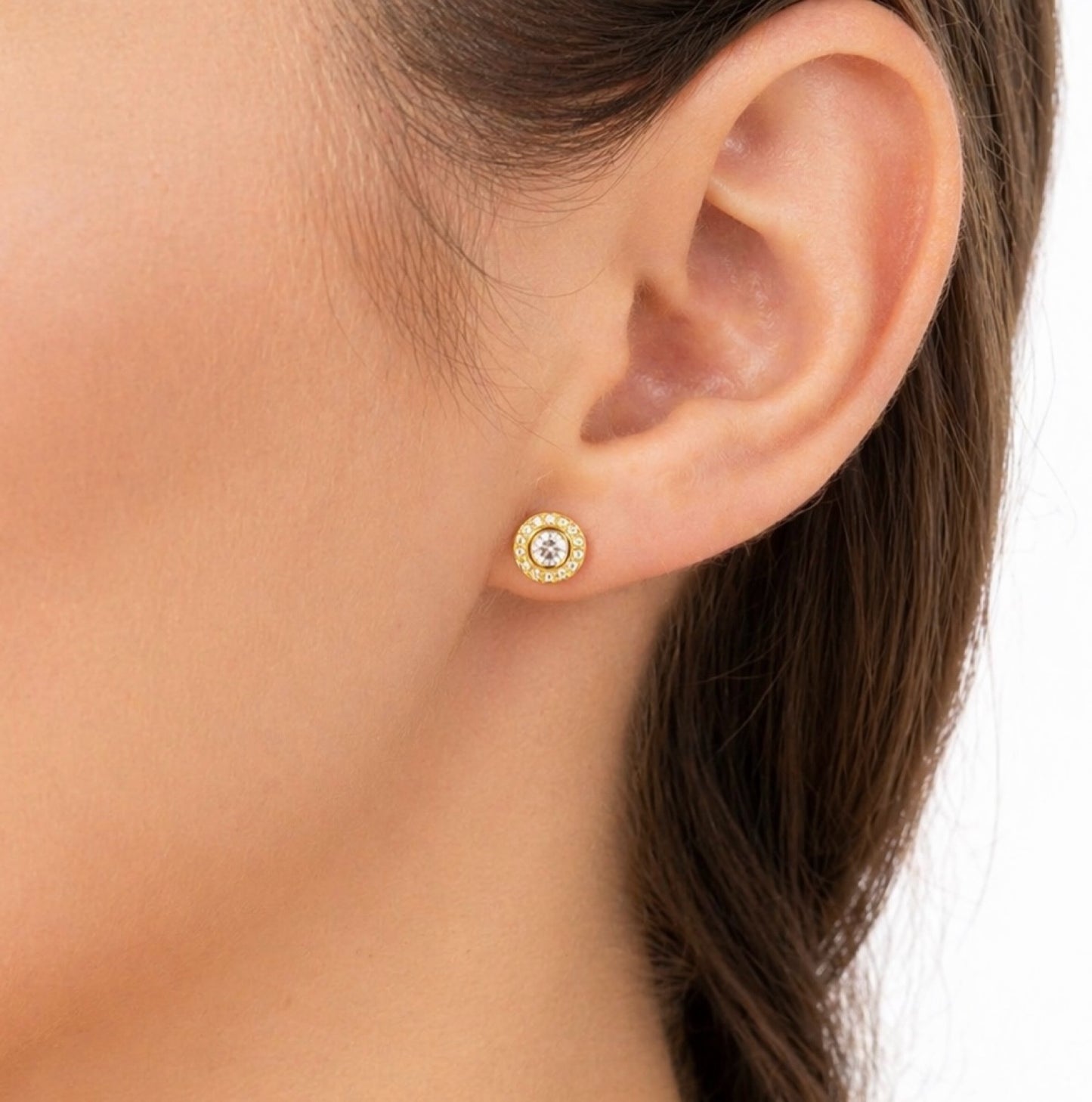 RA5887 - TOPO RODIO