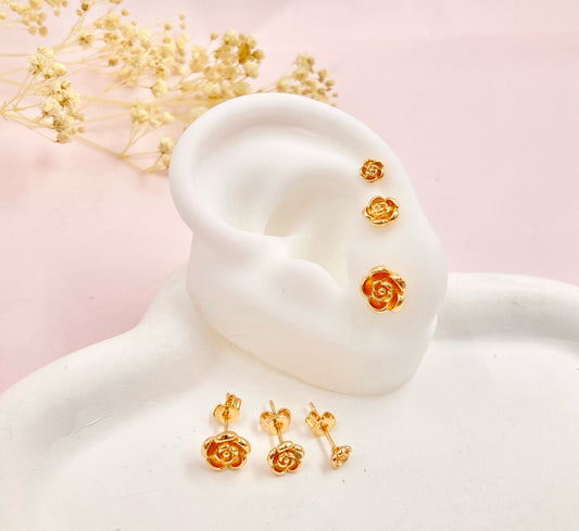 RA5152 - SECUENCIA EN RODIO